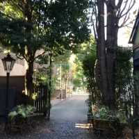 中庭