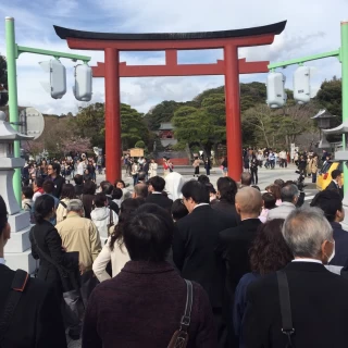 鶴岡八幡宮に行くまで。