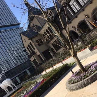 横からのショット