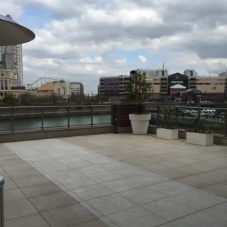 入場やフラワーシャワーを行う