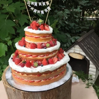 ネイキッドケーキ