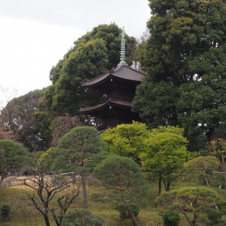 シンボルの三重塔