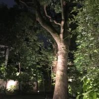 夜のパーティーも良さそう。