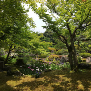 お庭を散策|497868さんの日本庭園 由志園の写真(600011)