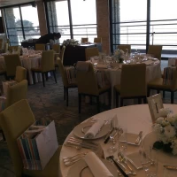 SCAPES THE SUITE