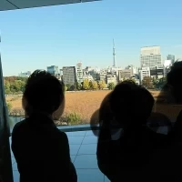 カーテンが開くと、素晴らし景色です！