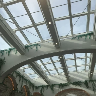 天井は全てガラス張りです
