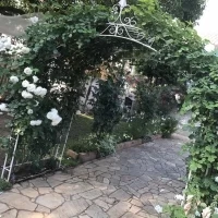 ガーデン