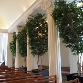 木が植えられているので室内でも自然を感じられます。