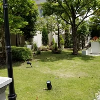 毎日ライトアップされている