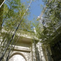 エントランスの竹林