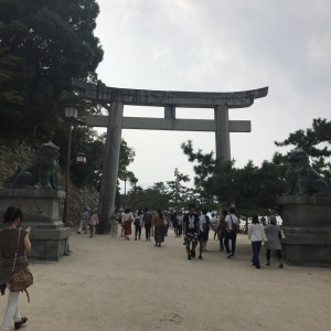 式場まで歩き|500281さんの厳島神社の写真(617631)