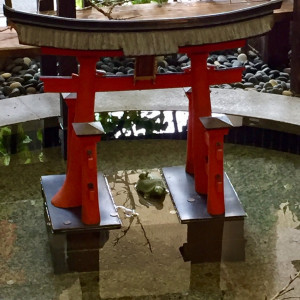 鳥居|500281さんの厳島神社の写真(617653)