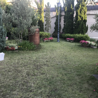 庭は全体が天然芝で覆われている