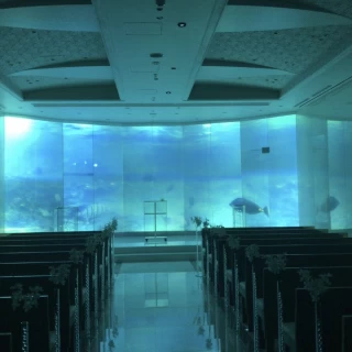 海中をイメージした映像です