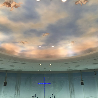 天井は青空をイメージして、全体的に青でさわやか。