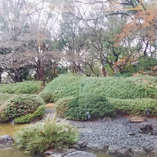 お庭は緑が多く、自然を感じられる。