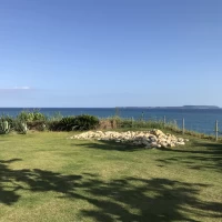 挙式会場横のガーデン。広いです。