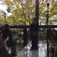 逆光になります。