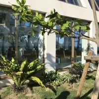 挙式会場の外観です。