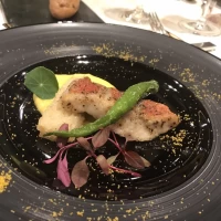 料理1