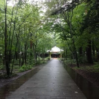 教会の外です。緑から通路にさしこむ光が素敵でした。