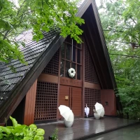 雨が降っていましたが、緑がきれいで、幻想的な雰囲気でした。