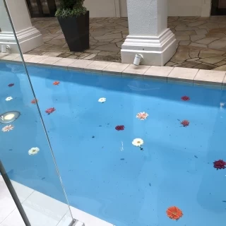 チャペルの中からみる風景