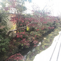 日本庭園風のガーデン