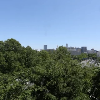 披露宴会場からの景色1