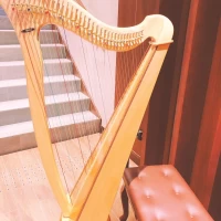 素敵な音色のハープ