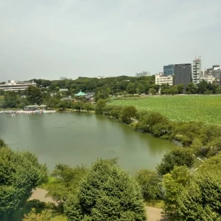 会場から見える外の景色、夏ならではの緑豊かな不忍池が綺麗！