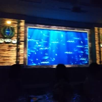 水の中を表現していました。