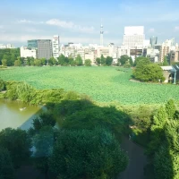 待合室からもスカイツリーがよく見えました