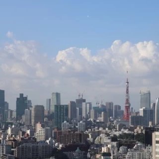 会場からの景色