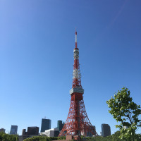 お庭からの東京タワー