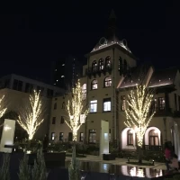 クリスマス時