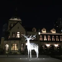 夜