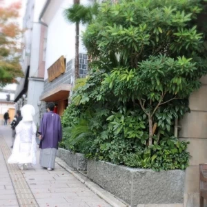 善光寺|504948さんの善光寺 大勧進の写真(640181)