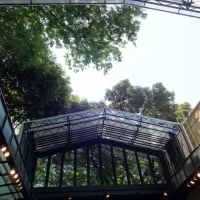 開閉式なので雨天でも安心です