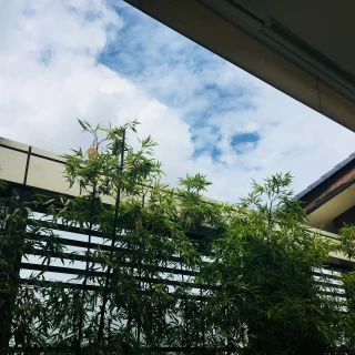 雨の時は屋根がつくそうです。気持ちいい風が入ってきてました。