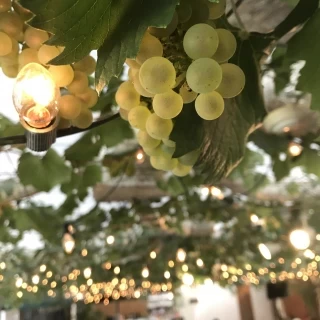 本物のぶどう緑