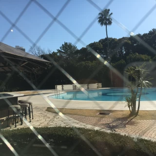 プールが見えます。