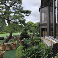 庭園には立派な松など、とても素晴らしい木々がありました。