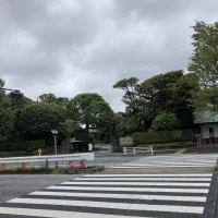 外から見た明治記念館です。とても広大な様子がわかります。