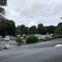 入り口前の駐車場です。駐車場も緑に覆われ、雰囲気があります。