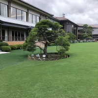 庭園の一風景です。樹木もとても立派でした。