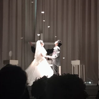光に照らされた羽が綺麗