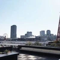 外のガーデンからの景色(お昼)