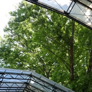 なんと、天井が開きます。